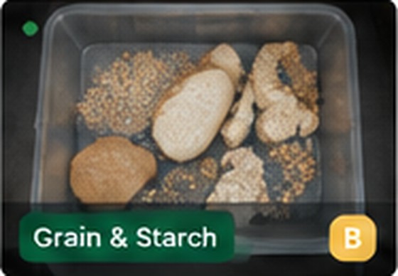 Bin B — Carbohydrates and grains