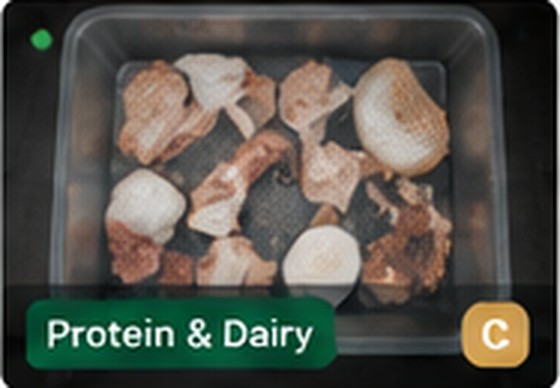 Bin C — Protein and animal products